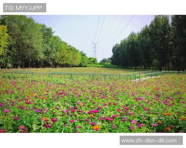 沈阳足球公园周边景点推荐及最佳游玩攻略分享